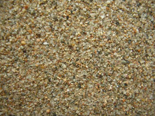 Las Dunas, Gavá